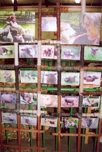 barn display